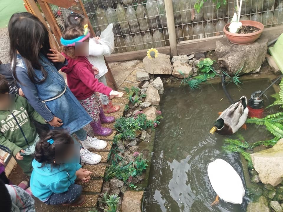 Foto de la galería 4